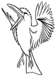 coloriage enfant Oiseaux