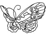 coloriage Papillons