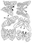 coloriage Papillons