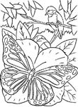 coloriage enfant Papillons