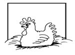 coloriage enfant Poules