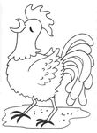 coloriage enfant Poules