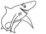 dessin Requins