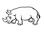 coloriage Rhinoceros