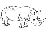 dessin Rhinoceros