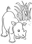 coloriage Rhinoceros