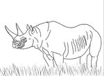 coloriage enfant Rhinoceros