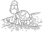 coloriage Tortues