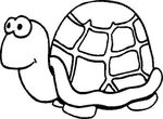 dessin Tortues