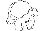 coloriage Tortues