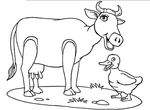 coloriage Vaches