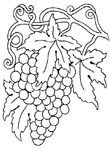 coloriage enfant Vendanges