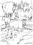 coloriage enfant Zoo