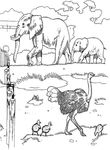 coloriage Zoo
