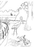 dessin Zoo