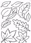 coloriage enfant Feuilles