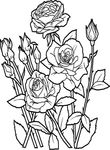 dessin Fleurs