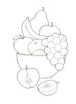 dessin Fruits Legumes