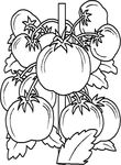 coloriage enfant Fruits Legumes