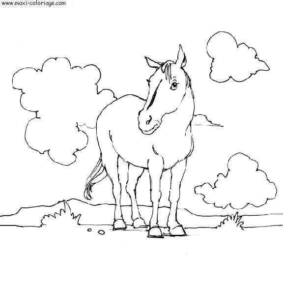carte invitation Chevaux