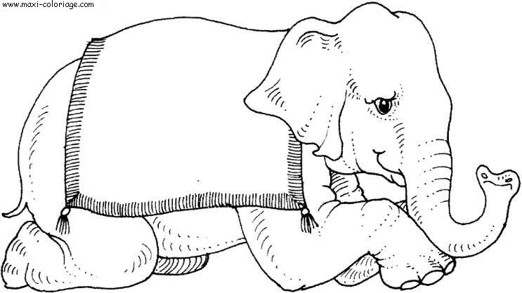 enveloppe carte invitation Elephants