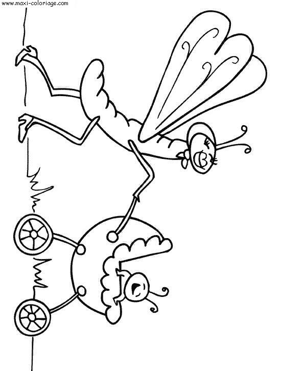 coloriage Insectes