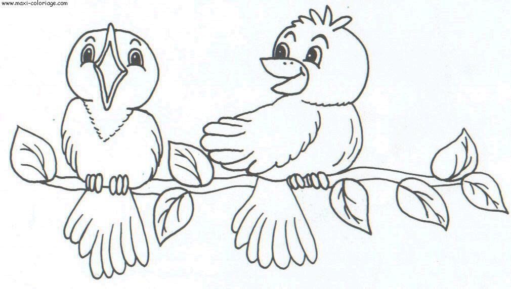 enveloppe carte invitation Oiseaux