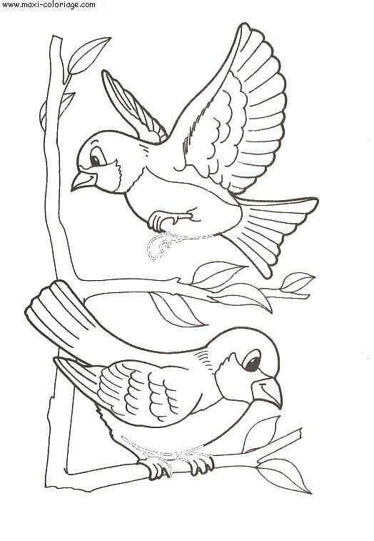 carte invitation Oiseaux