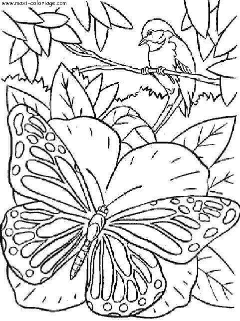 carte invitation Papillons