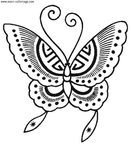 carte invitation Papillons