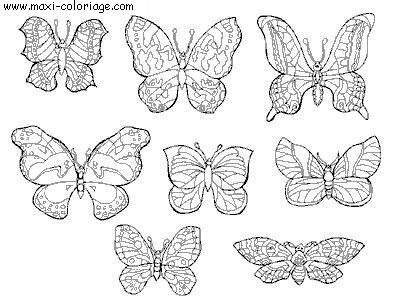 carte invitation Papillons