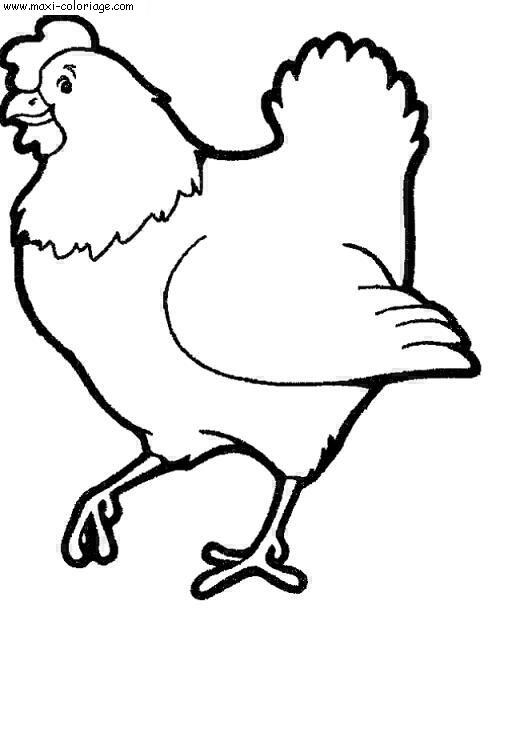 coloriage poules dessin poules poules Coloriage N°4634 coloriage poules p4634