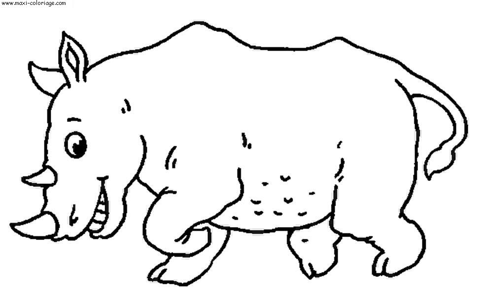 carte invitation Rhinoceros