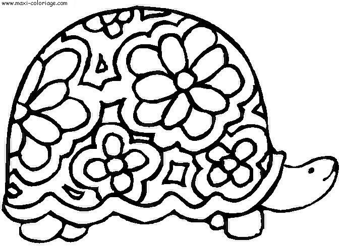 Coloriage Tortues Dessin Tortues Tortues Coloriage N4696