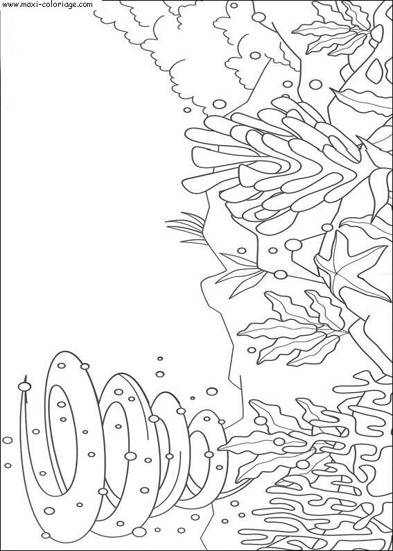 Coloriage Arc En Ciel Dessin Arc En Ciel Arc En Ciel