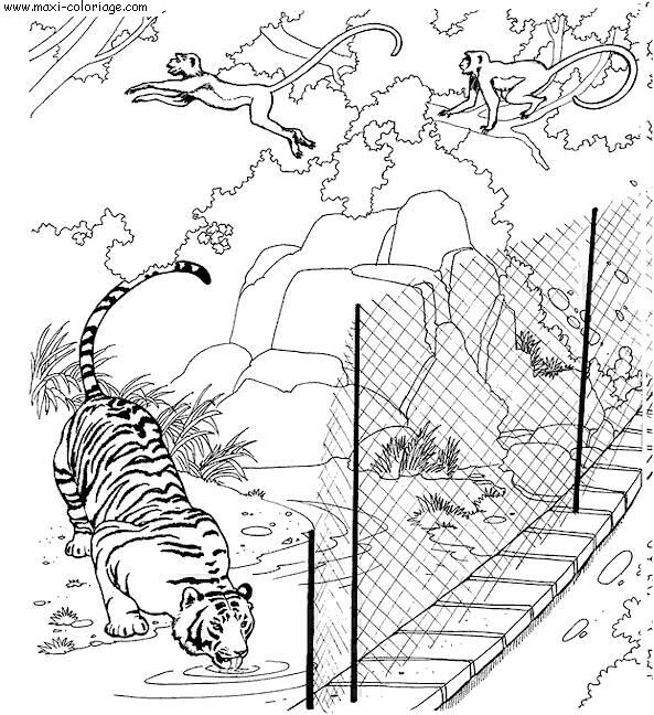 coloriage zoo, dessin zoo, zoo Coloriage N°5803